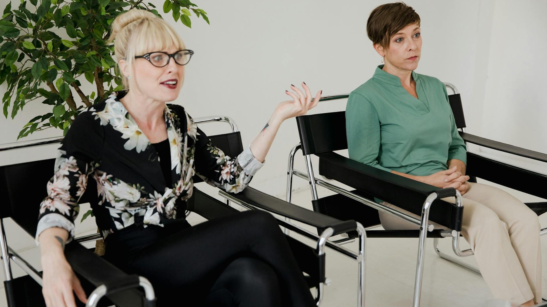 « Je plantais sans ce support » : le tuteur qui change tout pour vos grimpantes d'intérieur