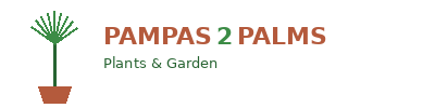 Pampas2Palms