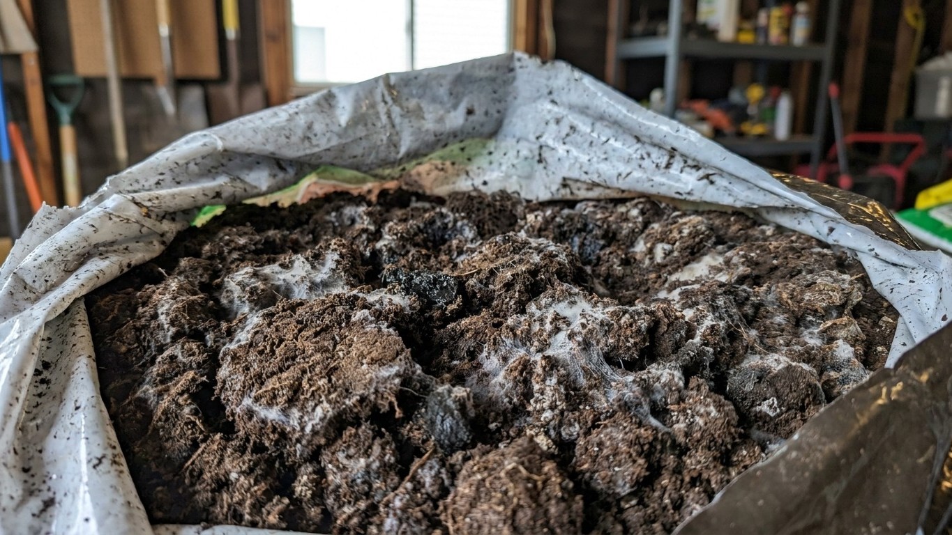 J'ai gardé mon sac de terreau ouvert au garage tout l'été juste pour l'avoir sous la main à la rentrée : trois semaines ap...